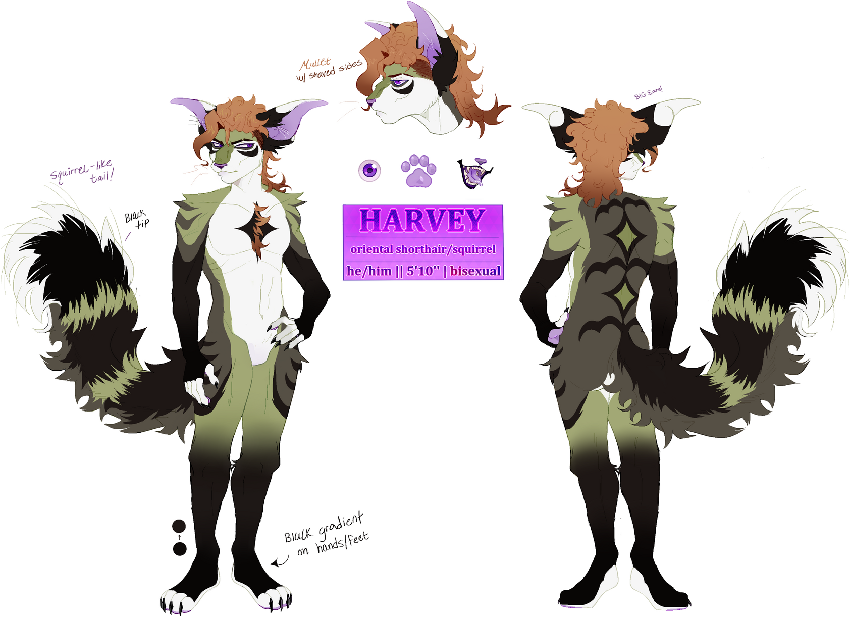 ref (pixel)